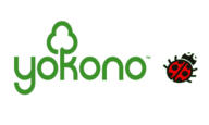 code promo yokono