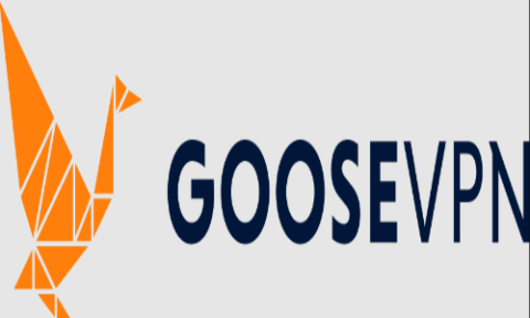 Codes promotionnels Goose VPN