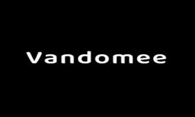 Codes promo Vandomee